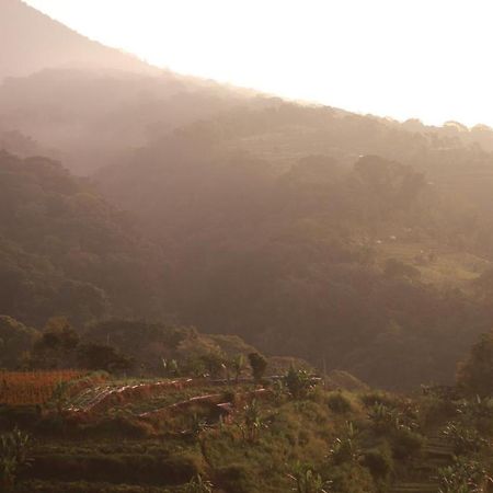 Pondok Kebun Gunung Bedugul  Bagian luar foto